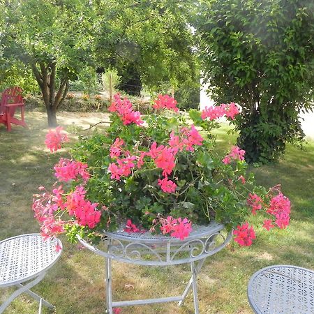 Les Patis Bed & Breakfast Vouvray Dış mekan fotoğraf